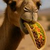 whiteppltacos