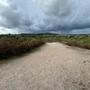 elliot_462
