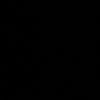 .zx_il1