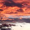 beautifuldysfunction81
