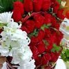 yasiralim683