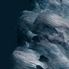 kardan_beast
