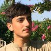 zaheerahmad3397