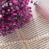 📚Booktok📚