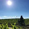 user8310448077111