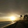 vibes_senja36