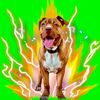 desiree_broly