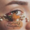 marym.sloma