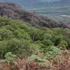 cesarcaravajal