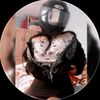 gabrielquispe523688