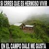 perezjuarez607