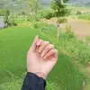 emchau01