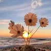 useref05d608pg