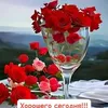 user4906183175390