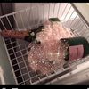 bedazzledeluxe