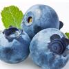 blue_berry0425