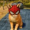 the_spider_cat22