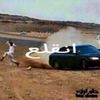mghol818..ss
