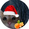 maryia_2022
