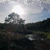 tuans_vuongw