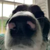 darciemae_0