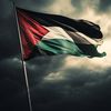 mahmed_951