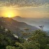 jnoube_alghali45