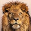 waleedalnaeem4