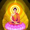 .anh400