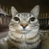 kami_1328