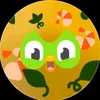 www.duolingobrasil