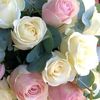 user2609161705849