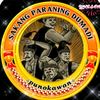 cpoingsun29