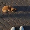 zeynep_x21_x01