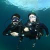 sorongdivebuddy