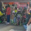 veronpercil_22