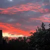 rassvet_177