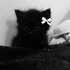 djabrik73
