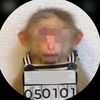 user_653588653