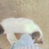 raghad_h06
