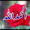 bushra.bushra92