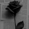mister__3abood