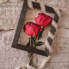 prince_mirza_