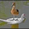 afrenchduck1