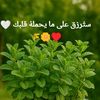 userg7xxwf1f1k