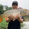 Chuyện Câu Cá