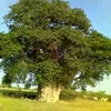 wadElshaikhودالشيخ