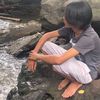 plum.ci1