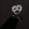 sweetown.07