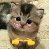 _anh.nguyettz_